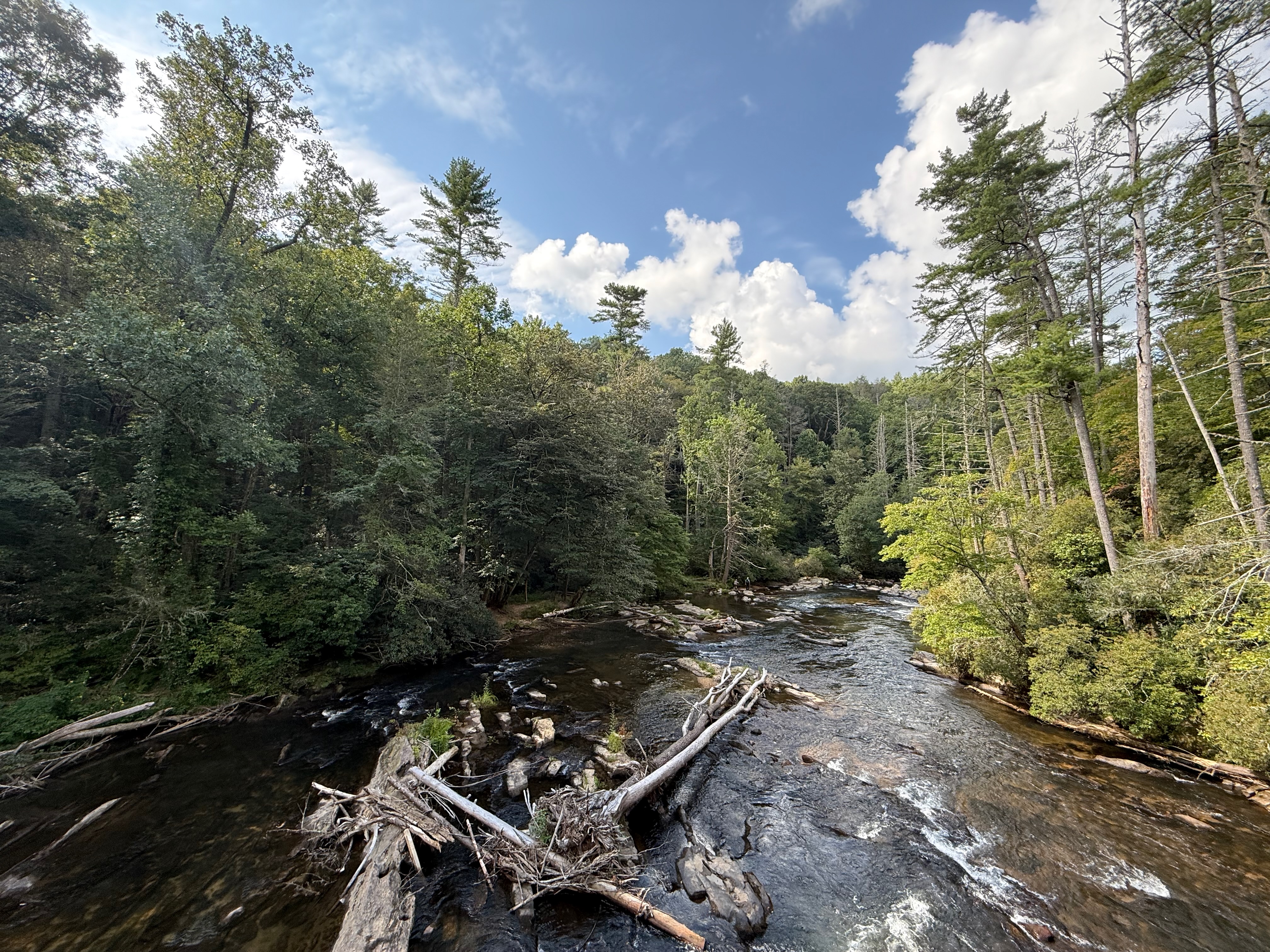 View from the Swinging Bridge